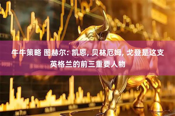 牛牛策略 图赫尔: 凯恩, 贝林厄姆, 戈登是这支英格兰的前三重要人物