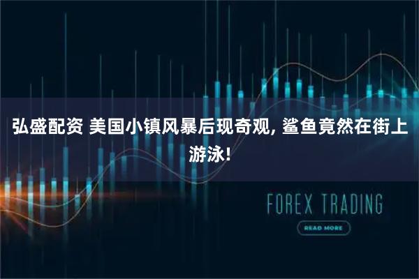 弘盛配资 美国小镇风暴后现奇观, 鲨鱼竟然在街上游泳!
